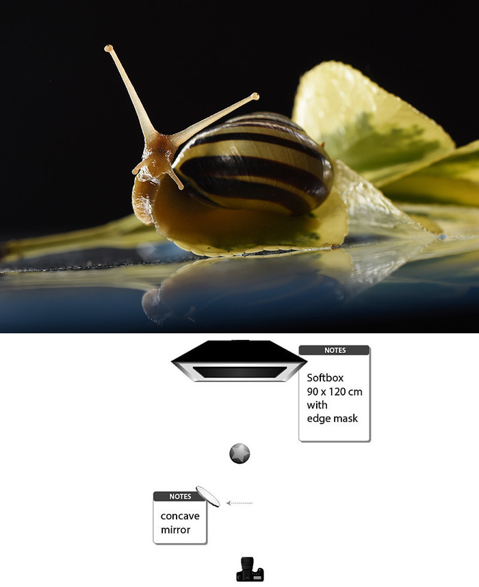 1597739901102480.jpg